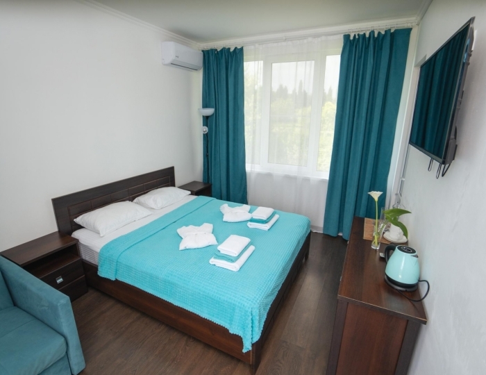 Номер делюкс с 1 двуспальной кроватью - Отель Family Resort Bambora / Фэмили Резорт Бамбора Лыхны