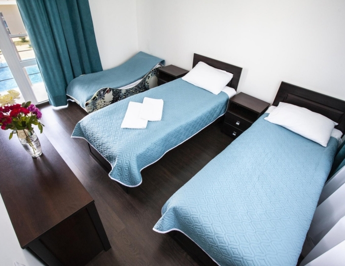 Номер делюкс с 2 односпальными кроватями - Отель Family Resort Bambora / Фэмили Резорт Бамбора Лыхны