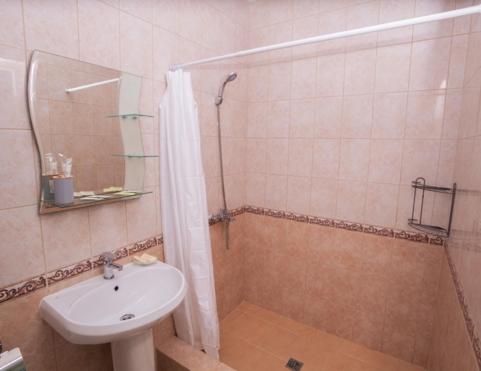 Номер полулюкс с 1 двуспальной кроватью - Отель Family Resort Bambora / Фэмили Резорт Бамбора Лыхны