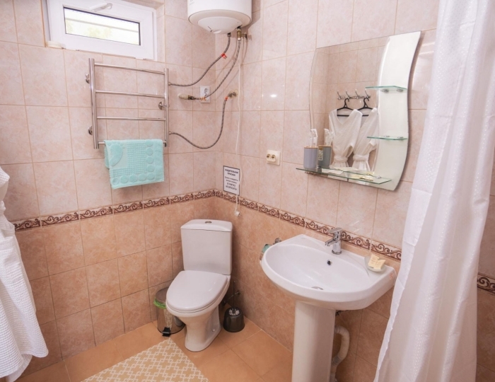 Номер полулюкс с 1 двуспальной кроватью - Отель Family Resort Bambora / Фэмили Резорт Бамбора Лыхны